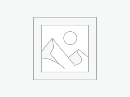 Δείκτης τοποθέτησης